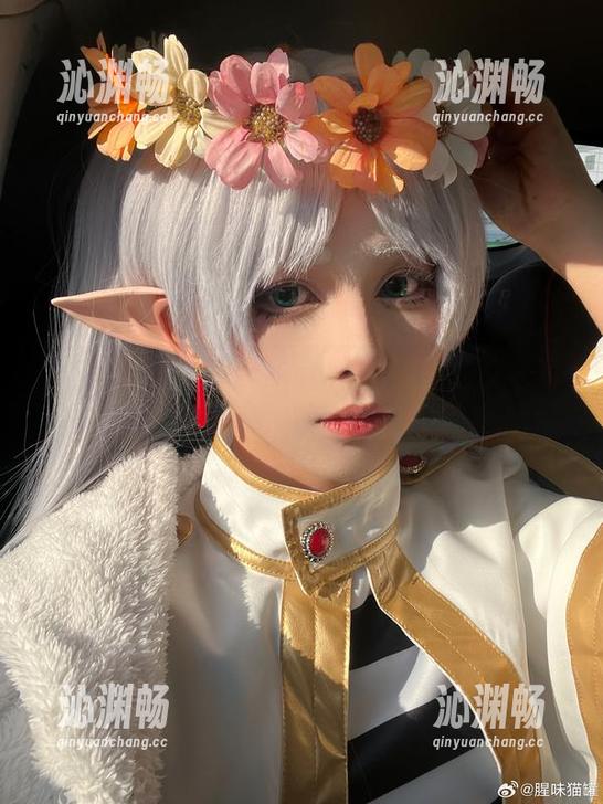 脑海里跳出来的想法，腥味猫罐的艾咪写真或许在网盘等我？